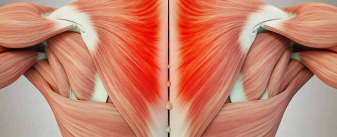 Zentrum für Faszienmedizin, Schmerztherapie und Selbsthilfe